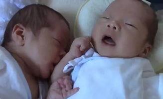 双胞胎小哥哥吃哈密瓜,双胞胎小哥哥甜蜜共享哈密瓜美味时光