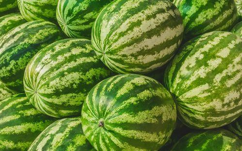 甲子路吃瓜,揭秘街头美食背后的故事