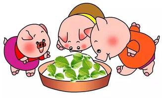 鲁冰花小猪吃瓜,鲁冰花小猪的夏日瓜果盛宴