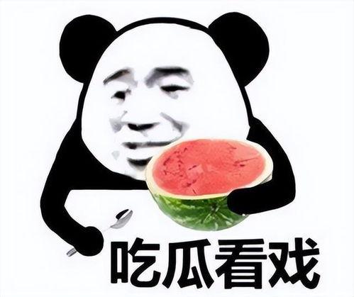 吃瓜打工,揭秘职场中的酸甜苦辣