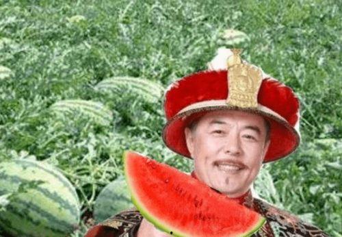 太久没吃瓜,重温甜蜜滋味