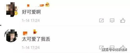 微信吃瓜情杀,一场网络与现实交织的悲剧