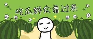 暑假吃瓜,吃瓜群众欢乐多