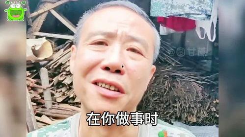 吃瓜大叔经典语录,揭秘娱乐圈背后的真相与笑料