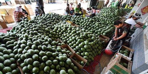 邯郸吃瓜事件图片