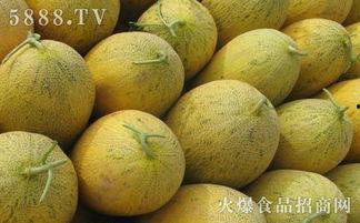 月子期间可以吃蜜瓜,营养美味两不误