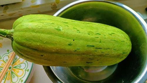 能包饺子吃的瓜,创意瓜馅饺子制作攻略