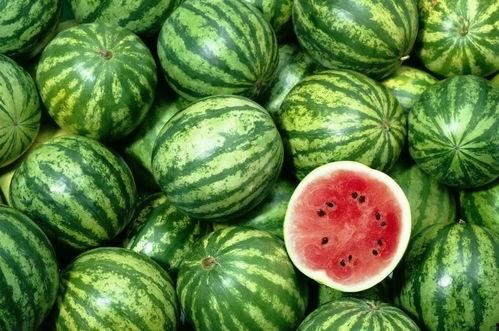 西瓜视频吃雪瓜,西瓜视频带你尝鲜雪瓜美味