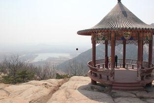 小亭子吃瓜,夏日消暑趣事一箩筐