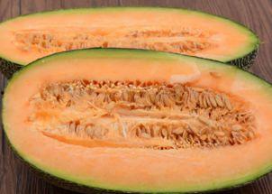 吃哈密瓜没劲,揭秘背后的原因