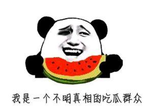 最牛吃瓜群众分享