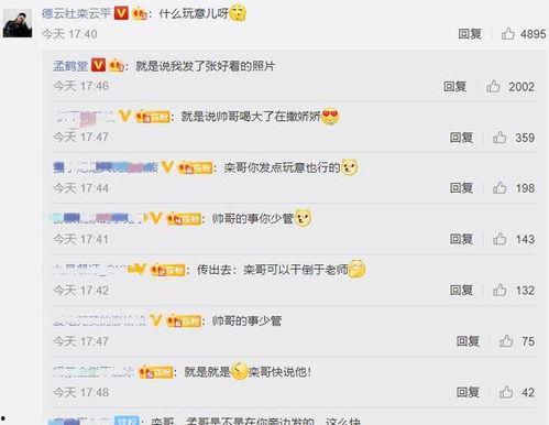 交友吃瓜评论区,评论区里的欢乐与争议