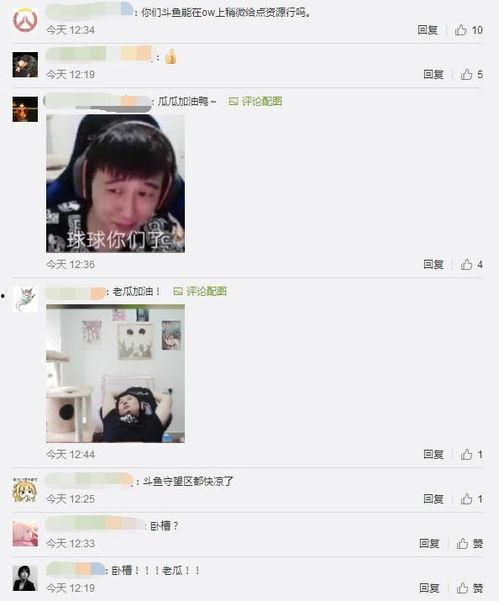 吃瓜盟主道歉直播,深度剖析事件始末与反思