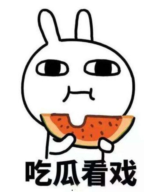 总结就是有瓜吃,揭秘“有瓜吃”背后的故事与启示