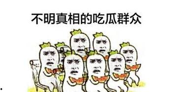 吃瓜群众吃瓜子图片高清,高清图鉴揭秘吃瓜群众吃瓜瞬间