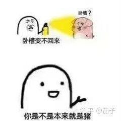 男生聊天爱发吃瓜的表情,社交背后的趣味与心理