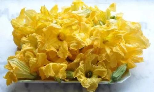 面瓜花如何吃,探索传统美食新境界