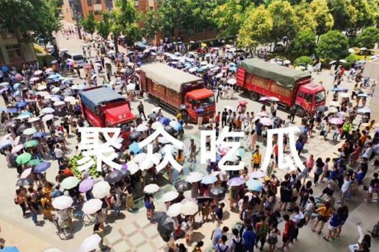 吃瓜大连大学,校园生活的一抹趣味色彩