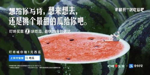 吃瓜叶的文案句子,一叶之香，尽享舌尖盛宴