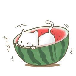 予卿吃瓜,揭秘娱乐圈那些不为人知的幕后故事