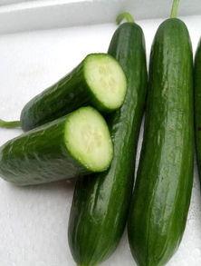 吃的绿瓜,探寻夏日清新美食之旅