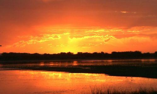 日落西山吃瓜,一场别开生面的夏日盛宴