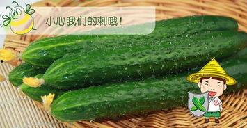 无套路直接吃瓜,无套路吃瓜，带你领略明星幕后故事