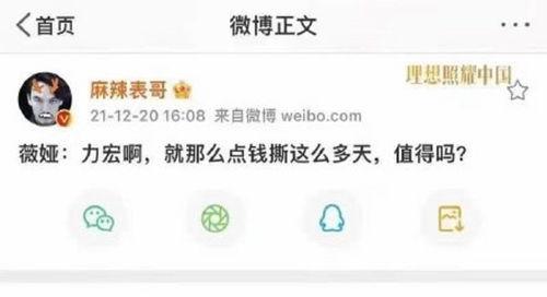 吃瓜网站B站,揭秘热门事件背后的真相与笑料