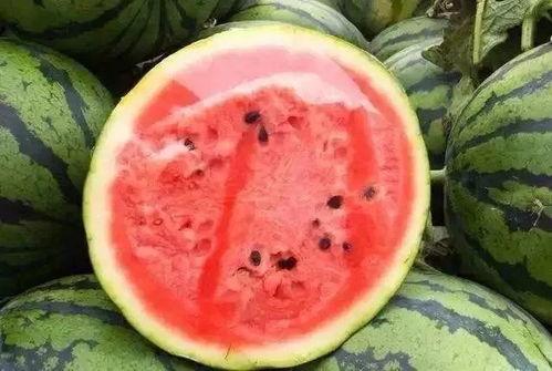 miya米牙吃瓜,揭秘娱乐圈幕后故事