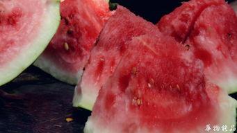 喝茶吃瓜打牌,休闲时光的惬意写照