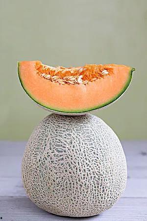 吃瓜助养,揭秘网络时代下的新型社交公益现象